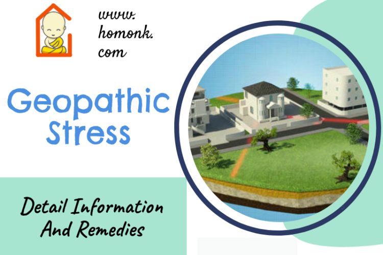 geopathic stress