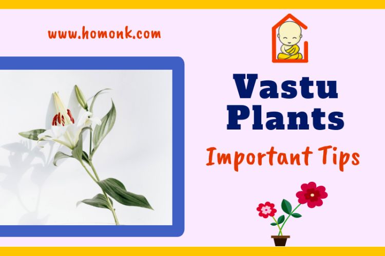 vastu plants